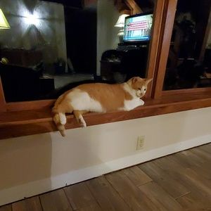 Meet your Posher, Robin